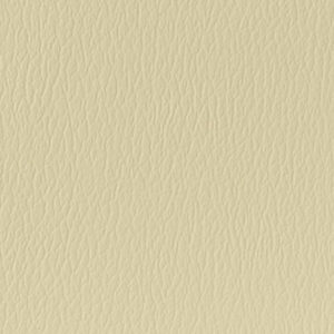 Parchment