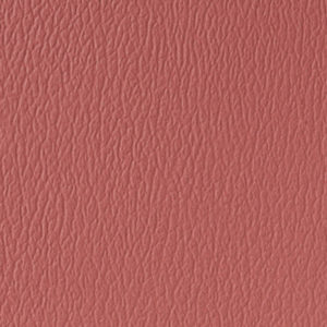 Tea Rose