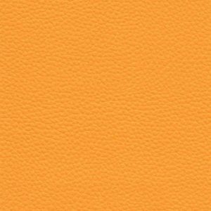 Florida Orange