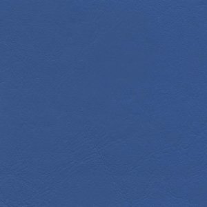 True Blue
